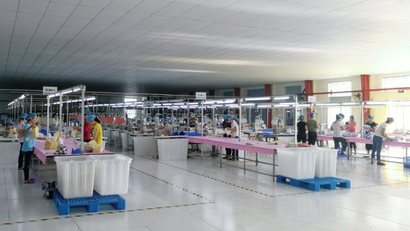 开云体育越南工厂正式投产实景拍摄